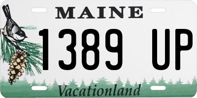 ME license plate 1389UP