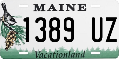 ME license plate 1389UZ