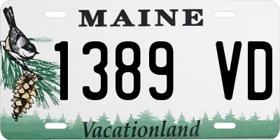 ME license plate 1389VD