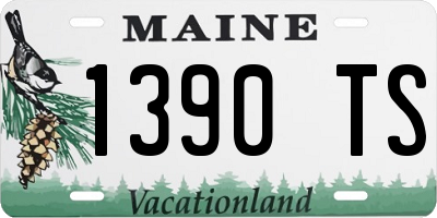 ME license plate 1390TS
