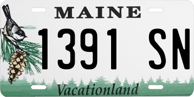 ME license plate 1391SN