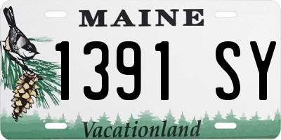 ME license plate 1391SY