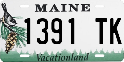ME license plate 1391TK