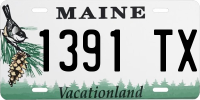 ME license plate 1391TX