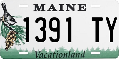 ME license plate 1391TY