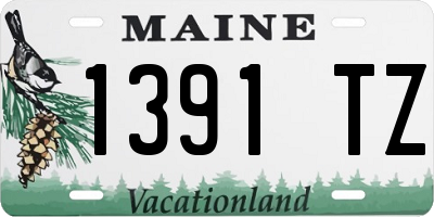 ME license plate 1391TZ