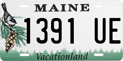 ME license plate 1391UE