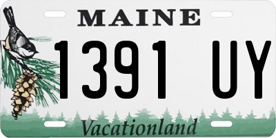 ME license plate 1391UY