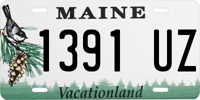 ME license plate 1391UZ