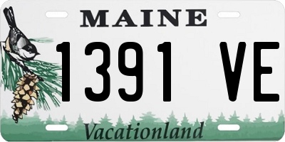 ME license plate 1391VE