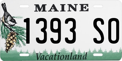 ME license plate 1393SO