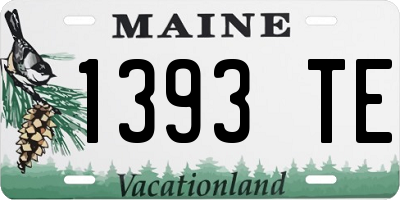 ME license plate 1393TE
