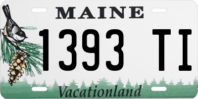 ME license plate 1393TI