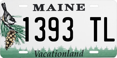 ME license plate 1393TL