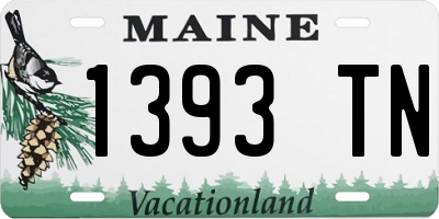 ME license plate 1393TN