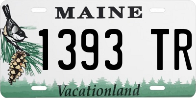 ME license plate 1393TR