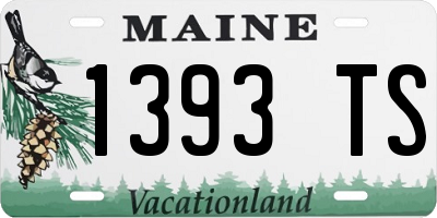 ME license plate 1393TS