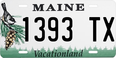 ME license plate 1393TX