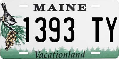 ME license plate 1393TY