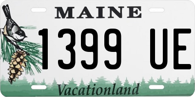 ME license plate 1399UE