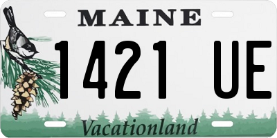 ME license plate 1421UE