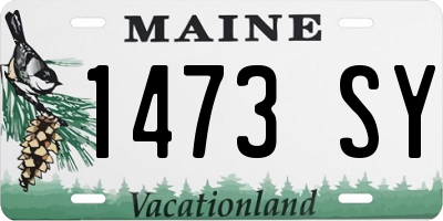 ME license plate 1473SY