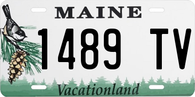 ME license plate 1489TV