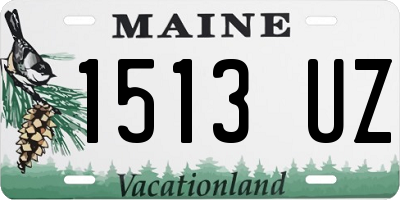 ME license plate 1513UZ