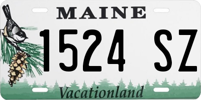 ME license plate 1524SZ