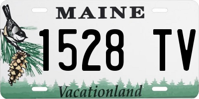 ME license plate 1528TV