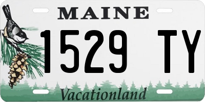 ME license plate 1529TY