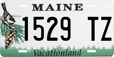 ME license plate 1529TZ