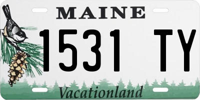 ME license plate 1531TY