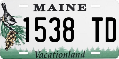 ME license plate 1538TD