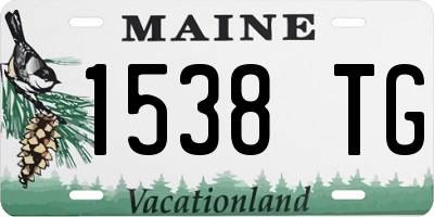 ME license plate 1538TG