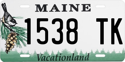 ME license plate 1538TK