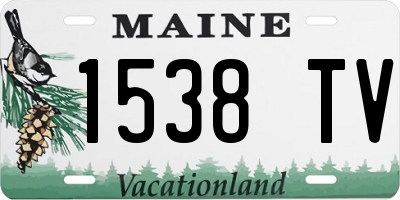 ME license plate 1538TV