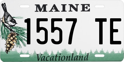 ME license plate 1557TE