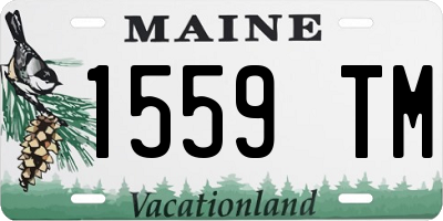 ME license plate 1559TM