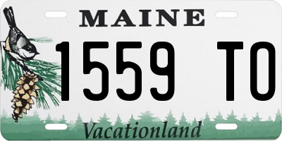 ME license plate 1559TO
