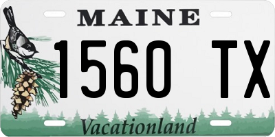 ME license plate 1560TX