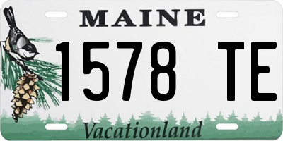 ME license plate 1578TE