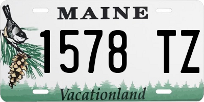 ME license plate 1578TZ