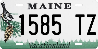 ME license plate 1585TZ