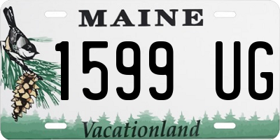 ME license plate 1599UG