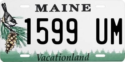 ME license plate 1599UM