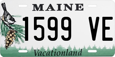 ME license plate 1599VE
