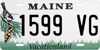 ME license plate 1599VG