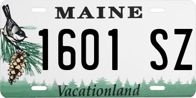 ME license plate 1601SZ