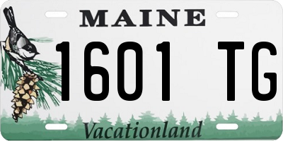ME license plate 1601TG